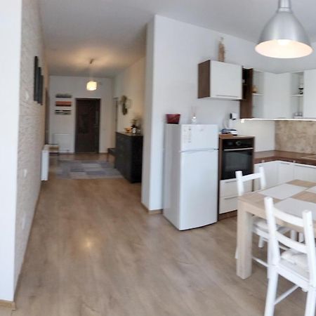 Apartament De Lux Cu Terasa Lägenhet Timişoara Exteriör bild