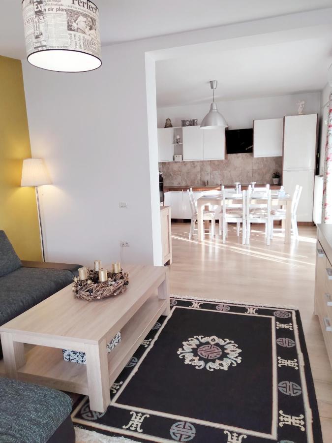 Apartament De Lux Cu Terasa Lägenhet Timişoara Exteriör bild